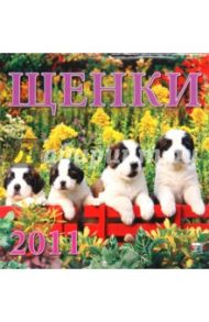 Календарь. 2011 год. Щенки (30104)