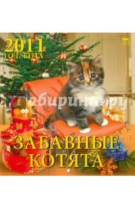 Календарь. 2011 год. Год кота. Забавные котята (30105)