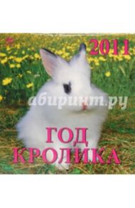 Календарь. 2011 год. Год кролика (30107)