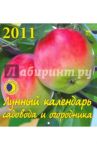 Календарь. 2011 год. Лунный календарь (30109)