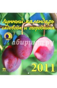 Календарь. 2011 год. Лунный календарь (45102)