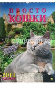 Календарь. 2011 год. Год кота. Просто кошки  (12110)