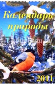 Календарь 2011 год. Календарь природы (12113)