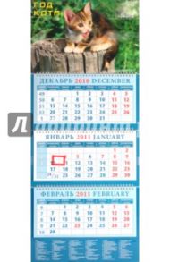 Календарь квартальный 2011 год. "Год кота. Котенок на пеньке" (14106)