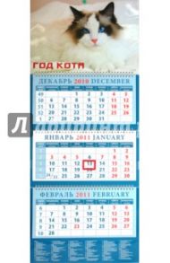 Календарь квартальный 2011 год. "Год кота. Красивый кот" (14108)