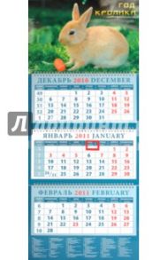 Календарь квартальный 2011 год. "Год кролика. Кролик с морковкой" (14112)