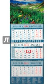 Календарь 2011 "Цветы на фоне гор" (14133)