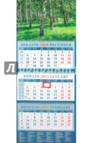 Календарь квартальный 2011 год "Березовая роща" (14141)