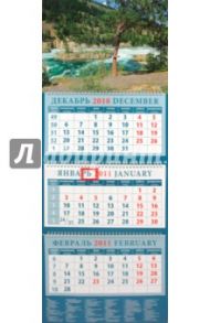 Календарь квартальный 2011 год "Сосна на берегу реки" (14148)