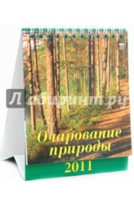 Календарь 2011. Очарование природы (10104)