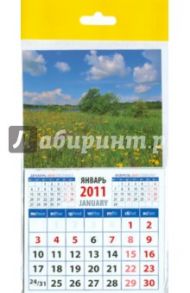 Календарь 2011 "Цветущий луг" (20121)