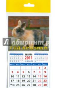 Календарь 2011 "Кролик на фоне стены" (20128)