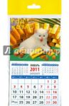 Календарь 2011 "Котенок с золотом" (20130)