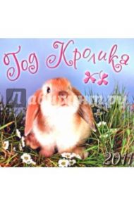 Календарь 2011 "Год кролика"