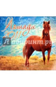 Календарь 2011 "Лошади"