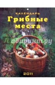 Календарь 2011. "Грибные места"