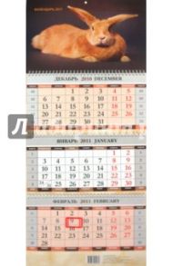 Календарь "Рыжий кролик" квартальный 2011