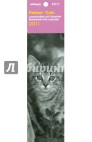 Календарь 2011 "Кошки" (43932)