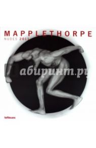 Календарь 2011 "Мэплторп" (4228-7)