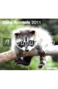 Календарь 2011 "Дети животных" (4353-6)