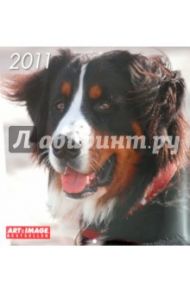 Календарь 2011 "Собаки" (4432-8)