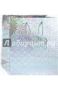 Пакет (LS-5)