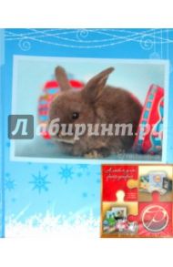 Фотоальбом на 200 фотографий "Winter rabbits" (LM-4R200)