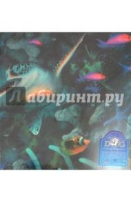 Фотоальбом на 400 фотографий "Dolphins" (AV46400)