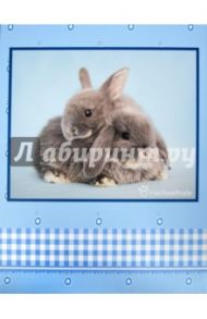 Фотоальбом на 20 магнитных страниц "Sweet couple" (LM-SA10)