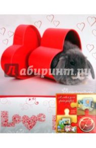 Фотоальбом на 200 фотографий "Love" (LM-4R200)