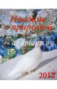 Календарь на 2012 год. "Наедине с природой" (13211)