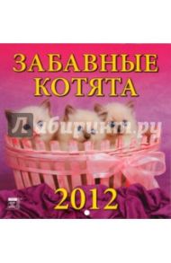 Календарь 2012 "Забавные котята" (30205)