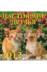 Календарь 2012 "Настоящие друзья" (30206)