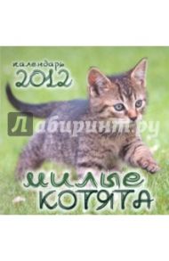 Календарь на 2012 год "Милые котята"