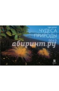 Календарь 2012 "Чудеса природы"