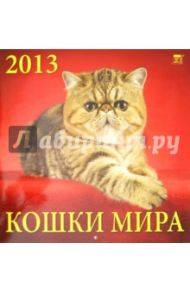 Календарь 2013 "Кошки мира" (70319)