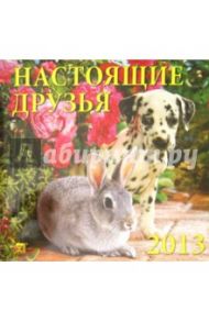 Календарь 2013 "Настоящие друзья" (70320)