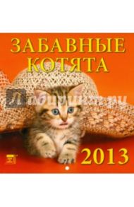 Календарь 2013 "Забавные котята" (30305)