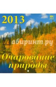 Календарь 2013 "Очарование природы" (30311)