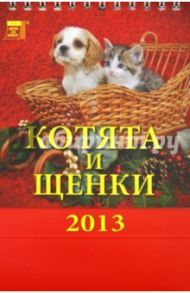 Календарь 2013 "Котята и щенки" (10302)