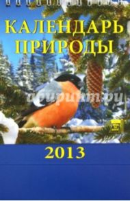 Календарь 2013 "Календарь природы" (10303)