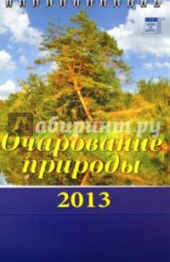 Календарь 2013 "Очарование природы" (10304)