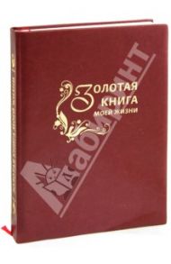 Золотая книга моей жизни / Сатаева Е., Бородкина Ю.