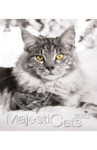 Календарь 2013: Majestic Cats/Кошки