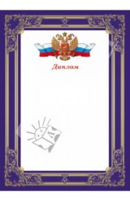 Диплом (28542)