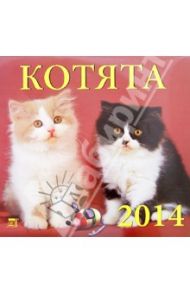 Календарь 2014 "Котята" (70405)