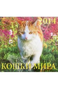 Календарь 2014 "Кошки мира" (70419)