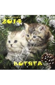 Календарь на 2014 год "Котята" (А3-112-141)