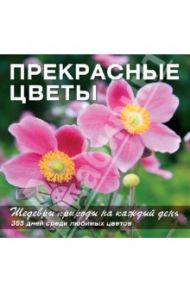 Прекрасные цветы. Шедевры природы на каждый день. Календарь универсальный / Фомина Юлия, Лацис Марина С.