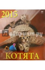 Календарь настенный на 2015 год "Котята" (70505)